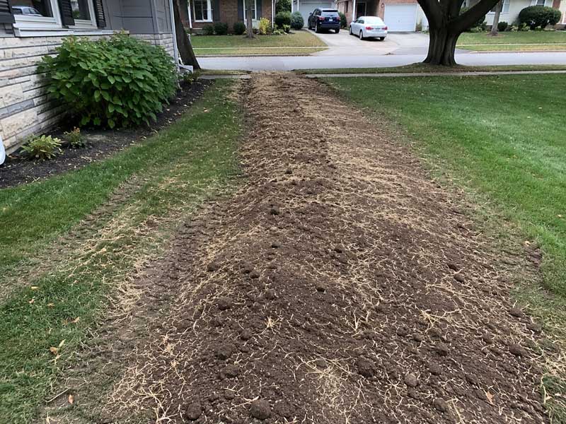 Bare soil patch in front yard where sewer line replacement work was completed, with healthy green lawn on either side and house with landscaping visible