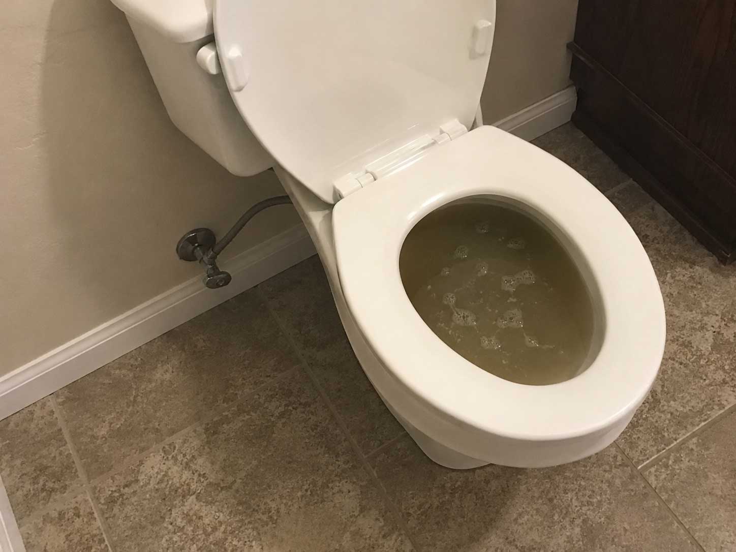 White toilet with waste water backing up in the bowl due to a sewer clog in a plumbing emergency.