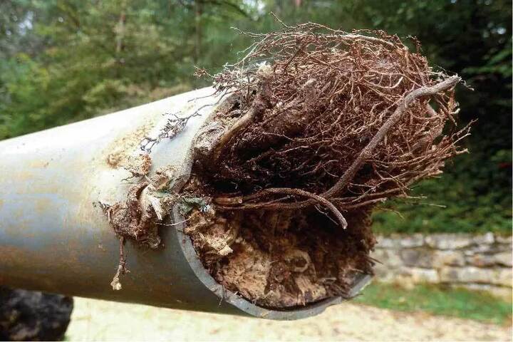 Roots and soil clogging inside a corroded metal pipe, demonstrating common sewer line blockage problems